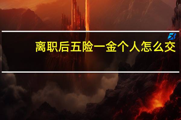 离职后五险一金个人怎么交