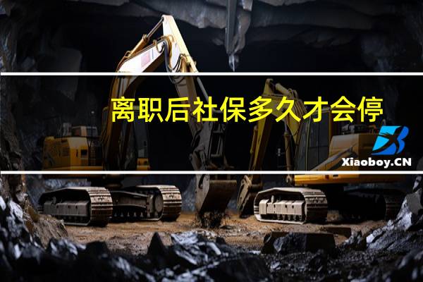 离职后社保多久才会停