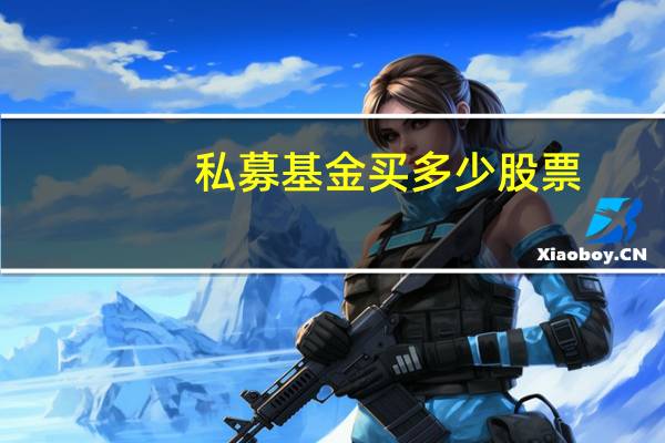 私募基金买多少股票