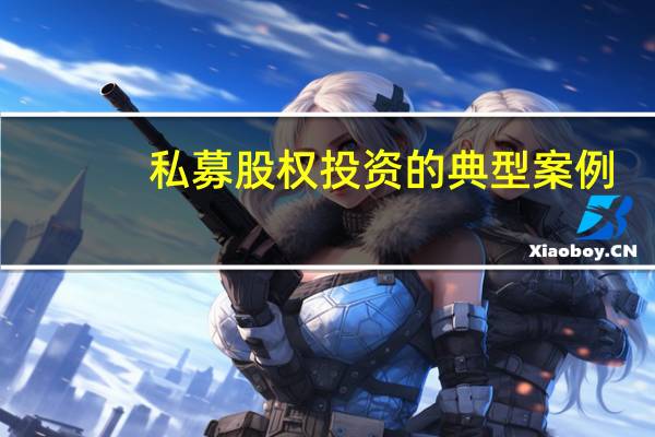 私募股权投资的典型案例