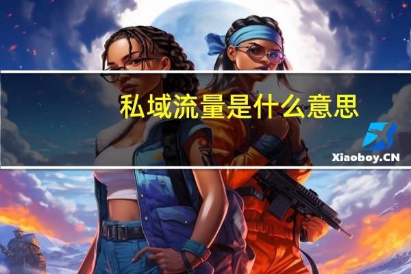 私域流量是什么意思