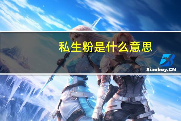 私生粉是什么意思