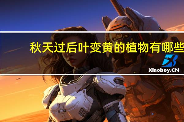 秋天过后叶变黄的植物有哪些