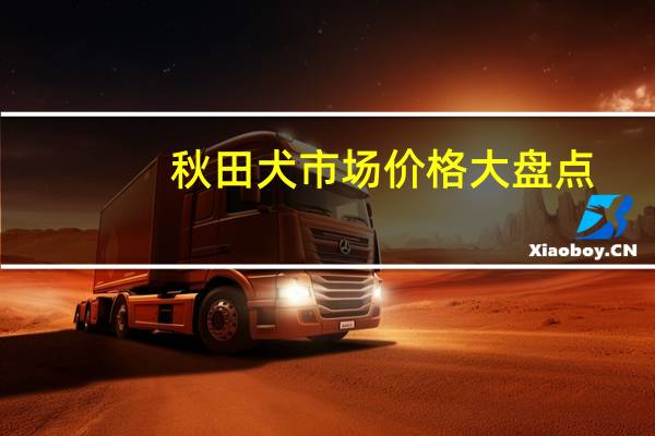 秋田犬市场价格大盘点