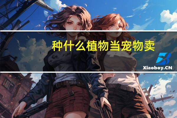 种什么植物当宠物卖