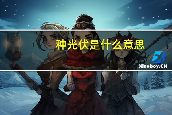 种光伏是什么意思