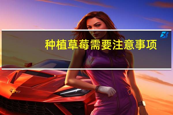 种植草莓需要注意事项