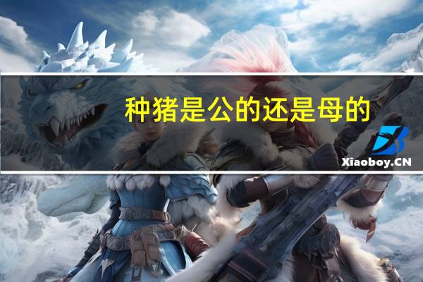 种猪是公的还是母的