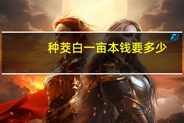 种茭白一亩本钱要多少