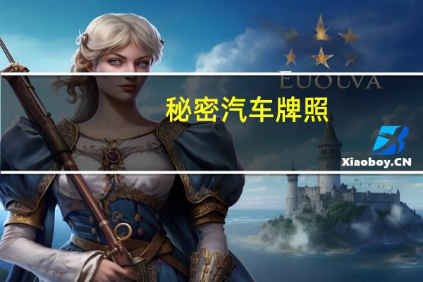 秘密汽车牌照