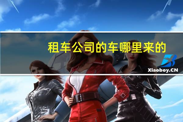 租车公司的车哪里来的
