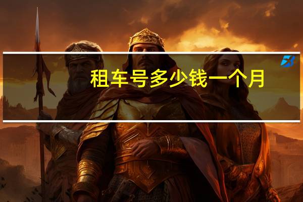 租车号多少钱一个月