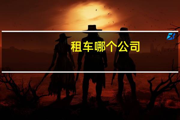 租车哪个公司