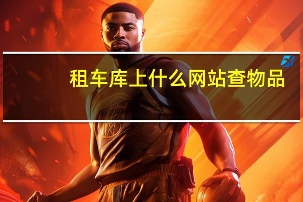 租车库上什么网站查物品