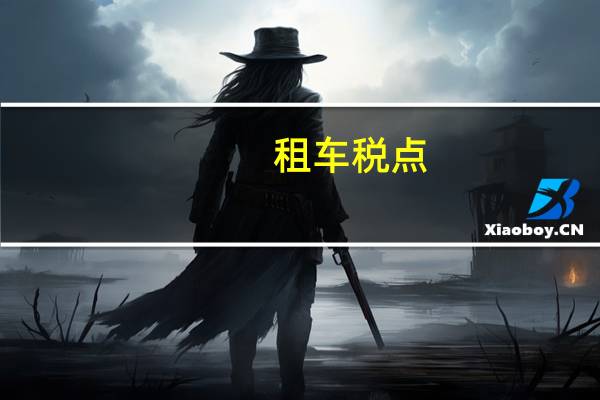 租车税点