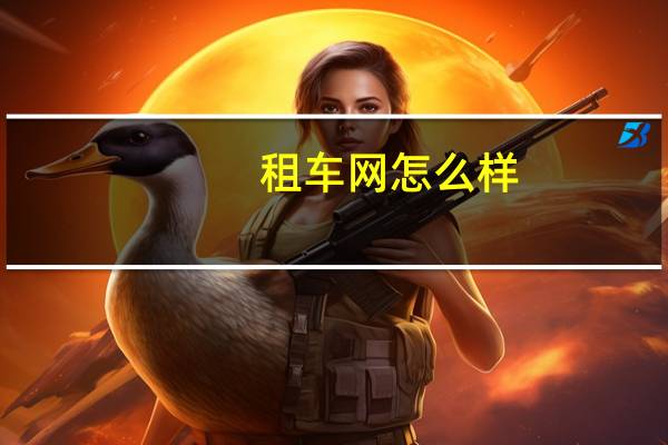 租车网怎么样