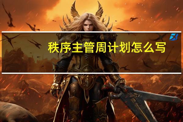 秩序主管周计划怎么写