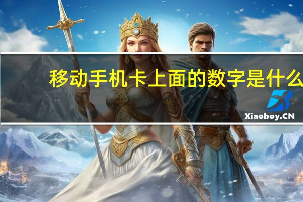 移动手机卡上面的数字是什么