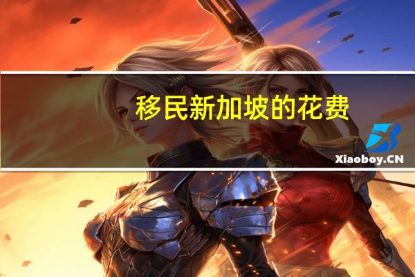 移民新加坡的花费