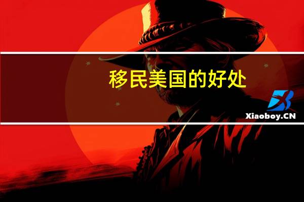 移民美国的好处