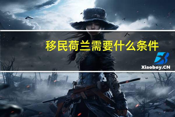 移民荷兰需要什么条件