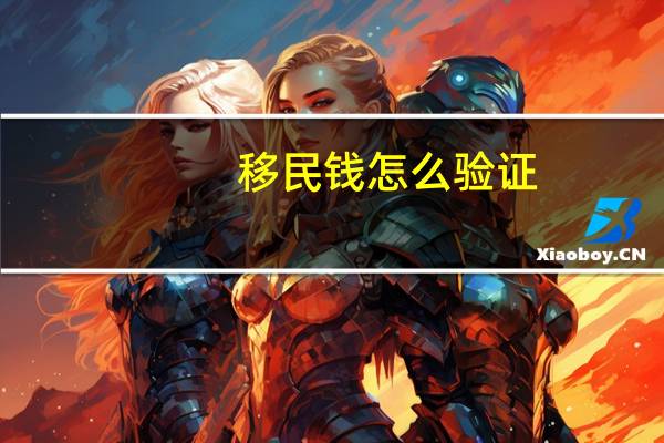 移民钱怎么验证