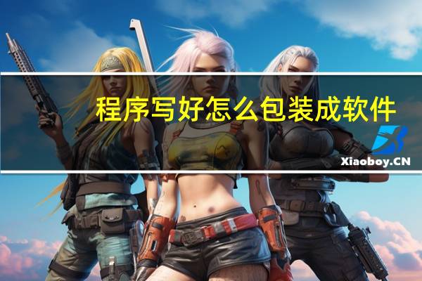程序写好怎么包装成软件