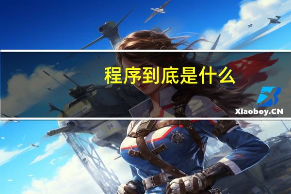 程序到底是什么