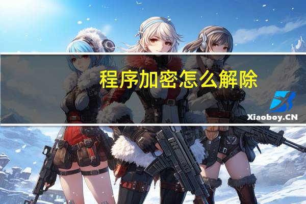 程序加密怎么解除