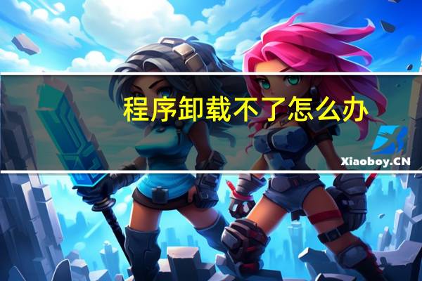 程序卸载不了怎么办