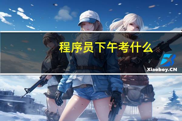 程序员下午考什么