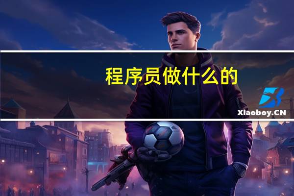 程序员做什么的