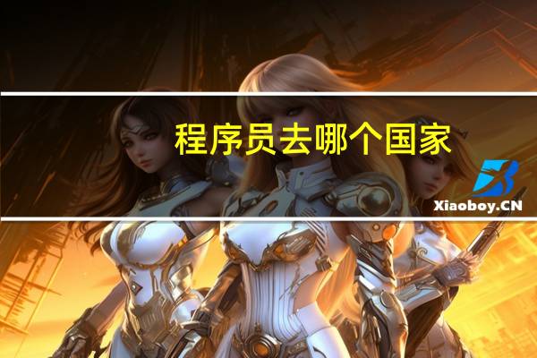 程序员去哪个国家