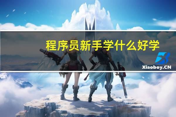 程序员新手学什么好学