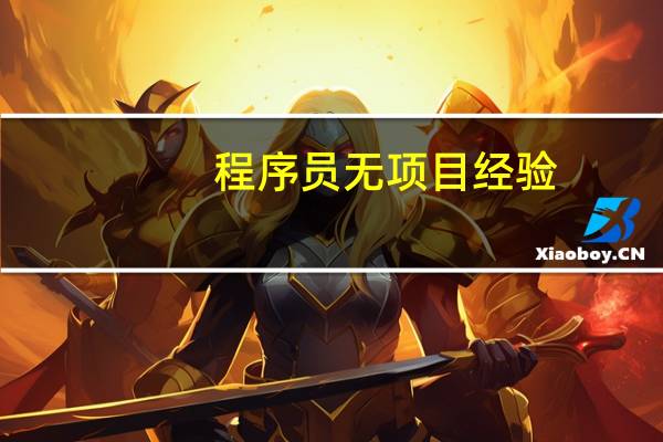 程序员无项目经验