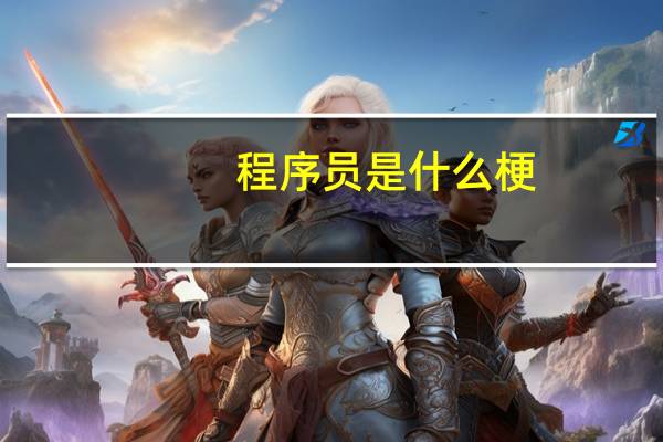程序员是什么梗