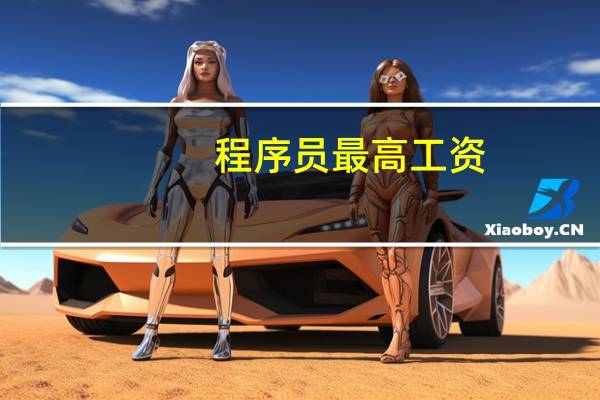 程序员最高工资