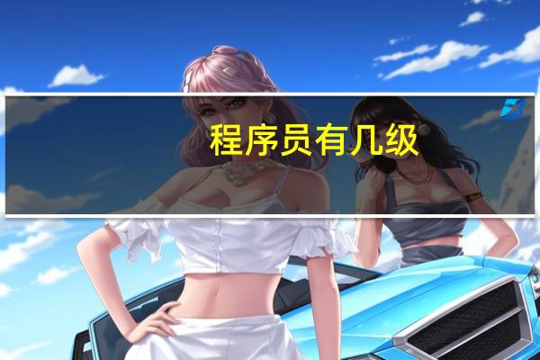 程序员有几级