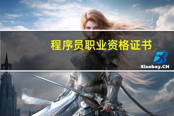 程序员职业资格证书