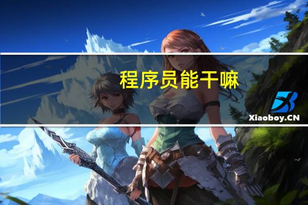 程序员能干嘛