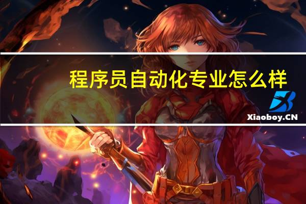 程序员自动化专业怎么样