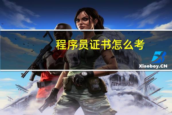 程序员证书怎么考