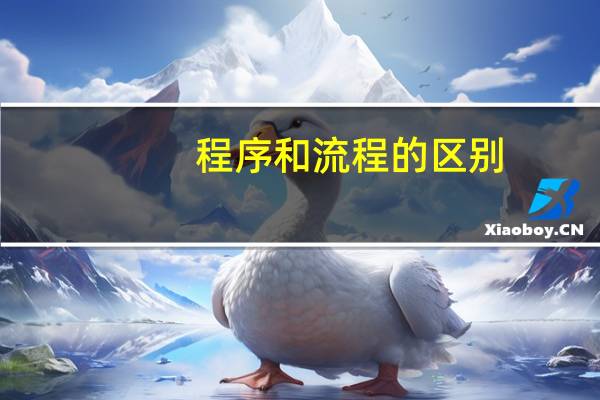 程序和流程的区别