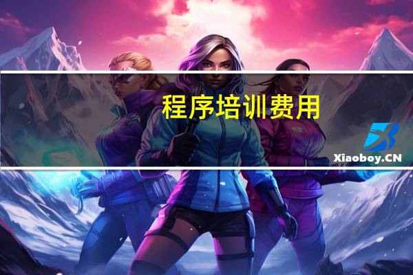 程序培训费用