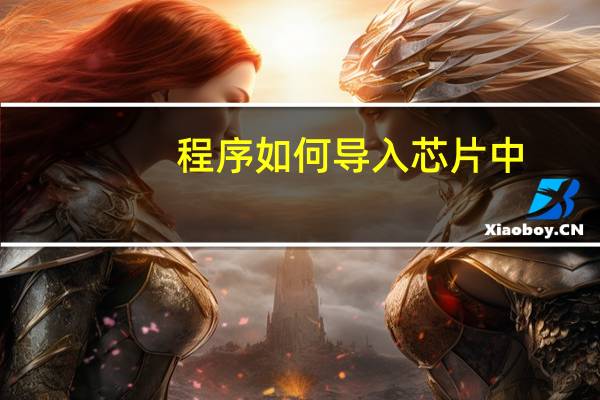 程序如何导入芯片中