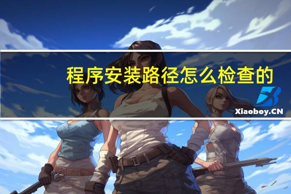 程序安装路径怎么检查的