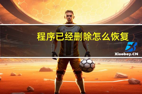 程序已经删除怎么恢复