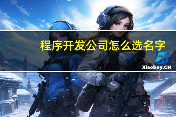程序开发公司怎么选名字