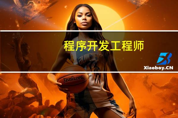 程序开发工程师