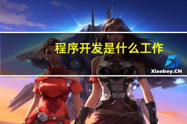 程序开发是什么工作